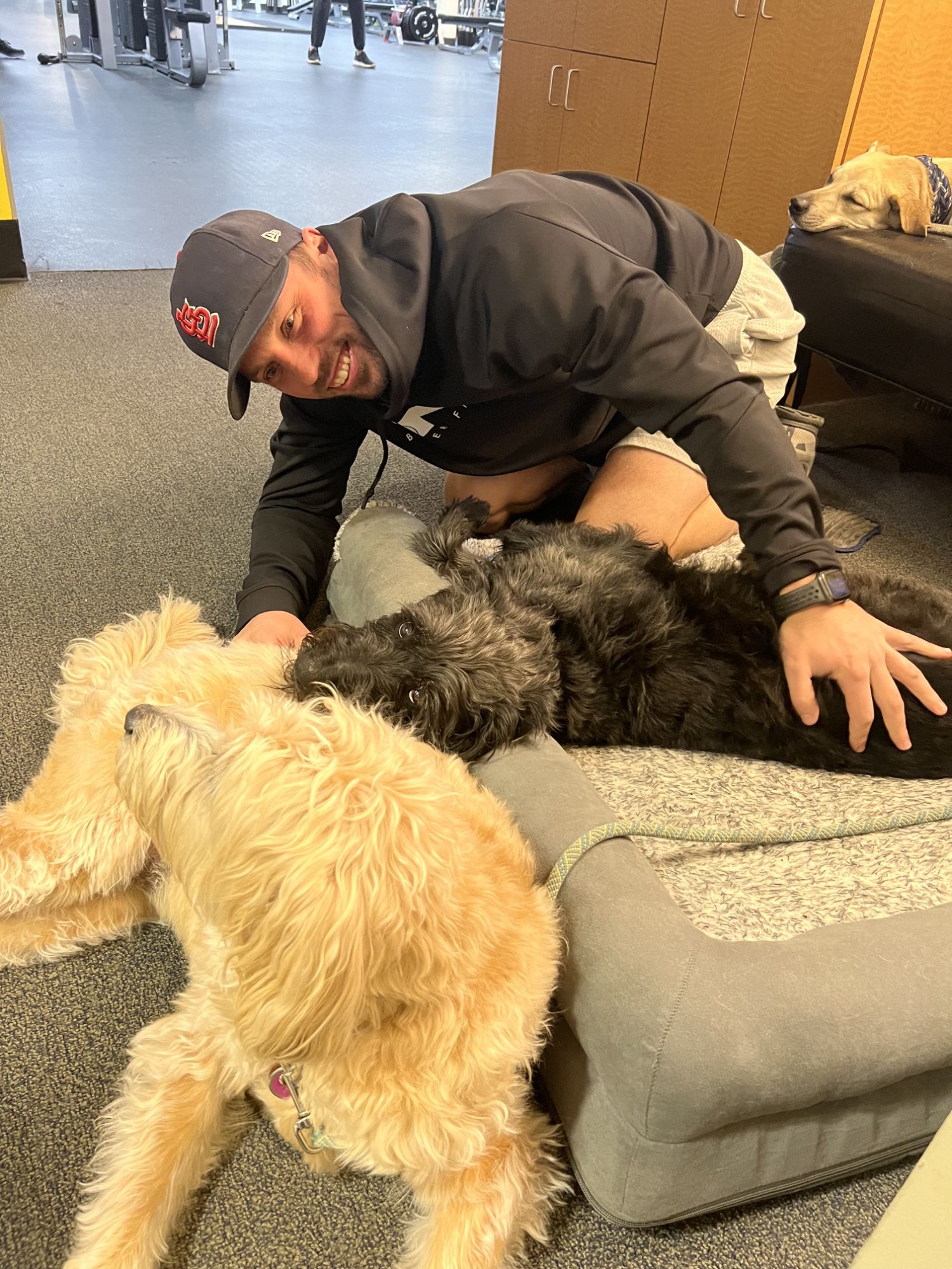 Two club dogs getting scratched on the gym floor