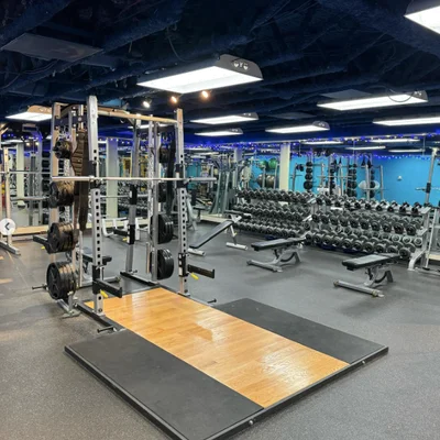 The lifting platform and squat rack