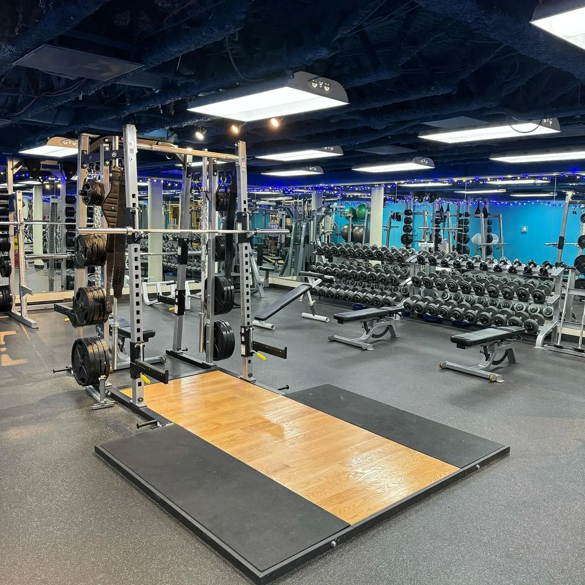 ONE Boulder Fitness gym floor in downtown Boulder with squat rack, lifting platform, benches and dumbbell racks.
